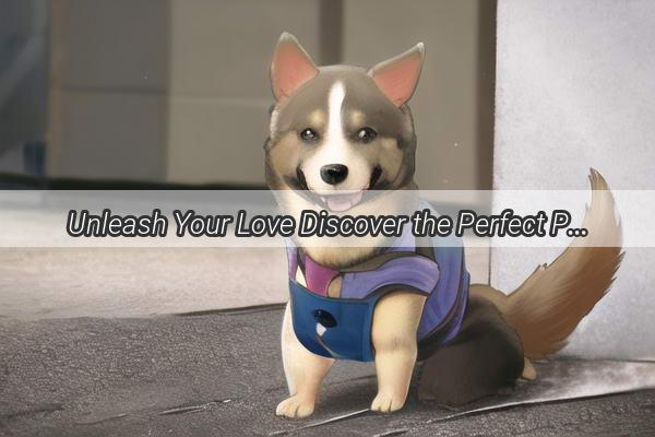 Unleash Your Love Discover the Perfect Pooch Pal in Your City